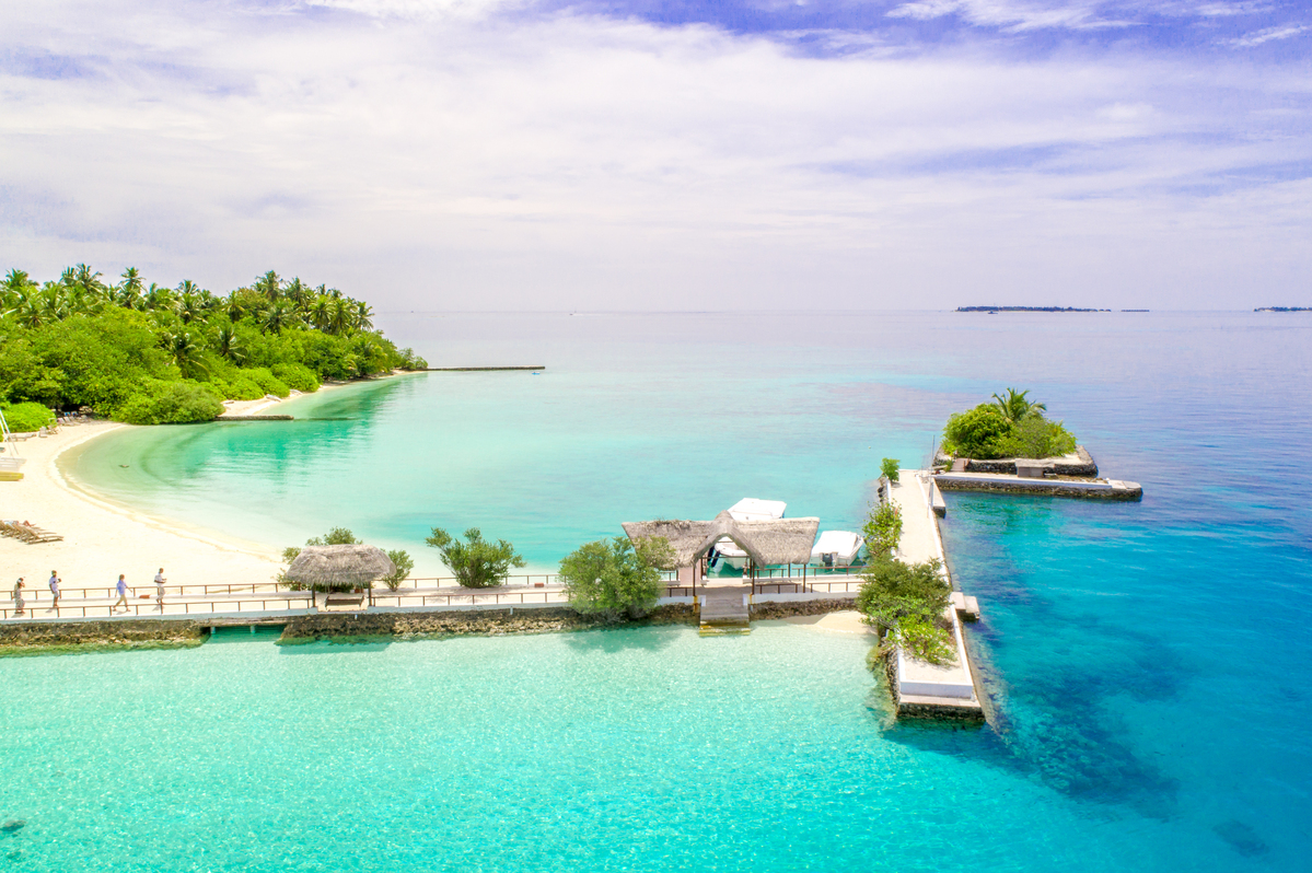 Les plus beaux spots de plongée en Polynésie française : Fakarava, Bora-Bora et bien d'autres  !