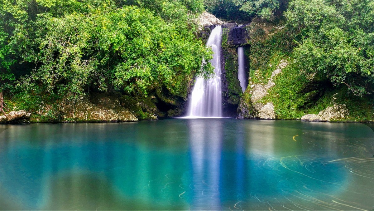 La plongée sous-marine à l'île de la Réunion : quand et où pratiquer ?