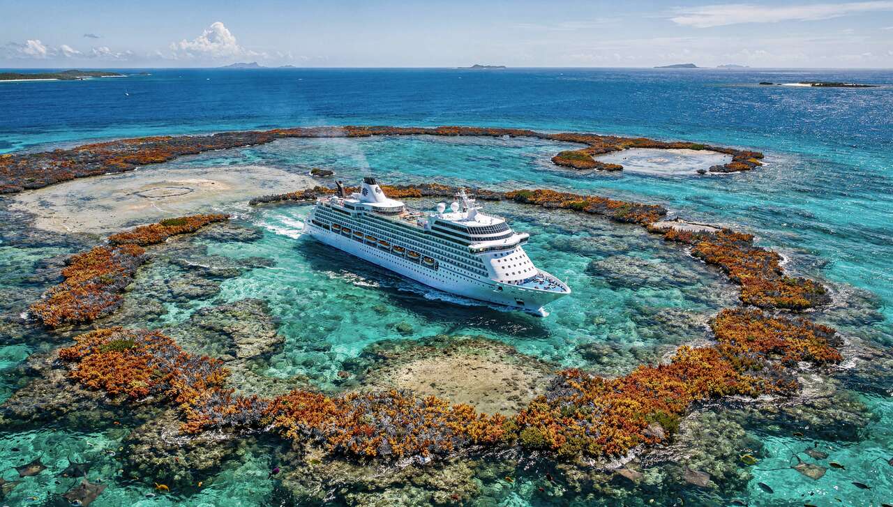 Explorer la vie marine : ce que chaque destination a à offrir