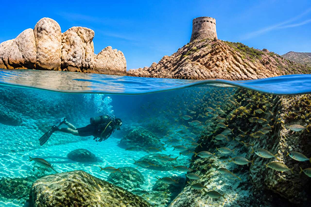 Plongées en Sardaigne et Corse : découvrez ces destinations incontournables