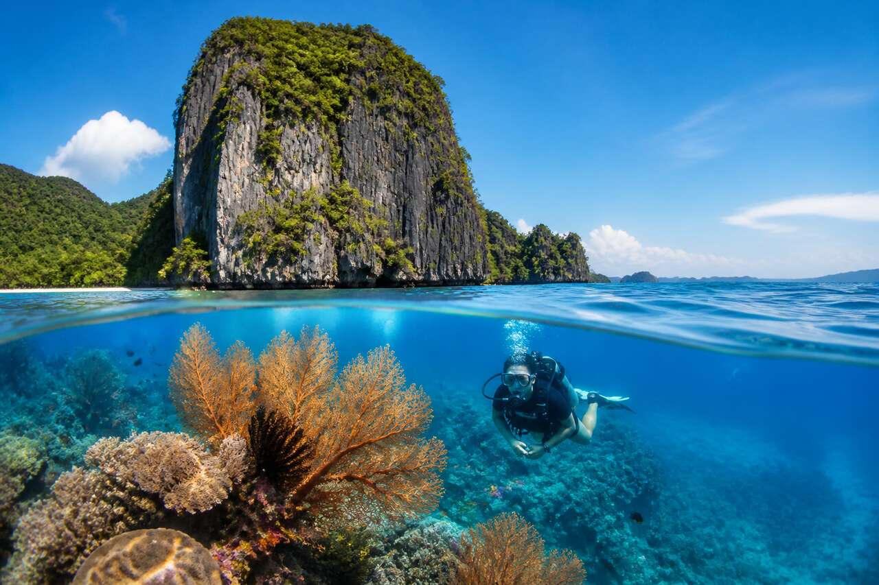 Plongée : 5 destinations incontournables en Asie