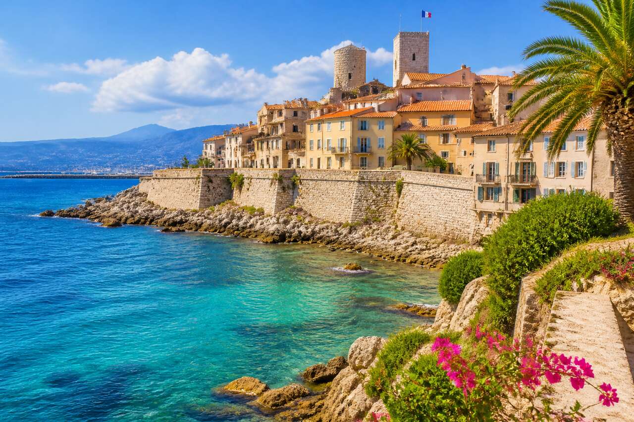 Belles plongées en Méditerranée : découvrez Antibes