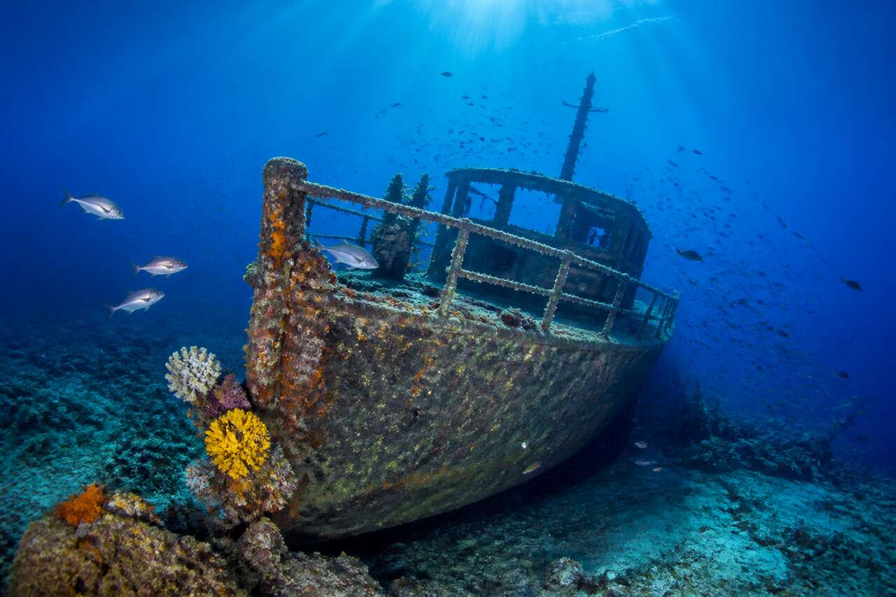 Plongée sur l'épave du Rubis en France : une aventure sous-marine exceptionnelle
