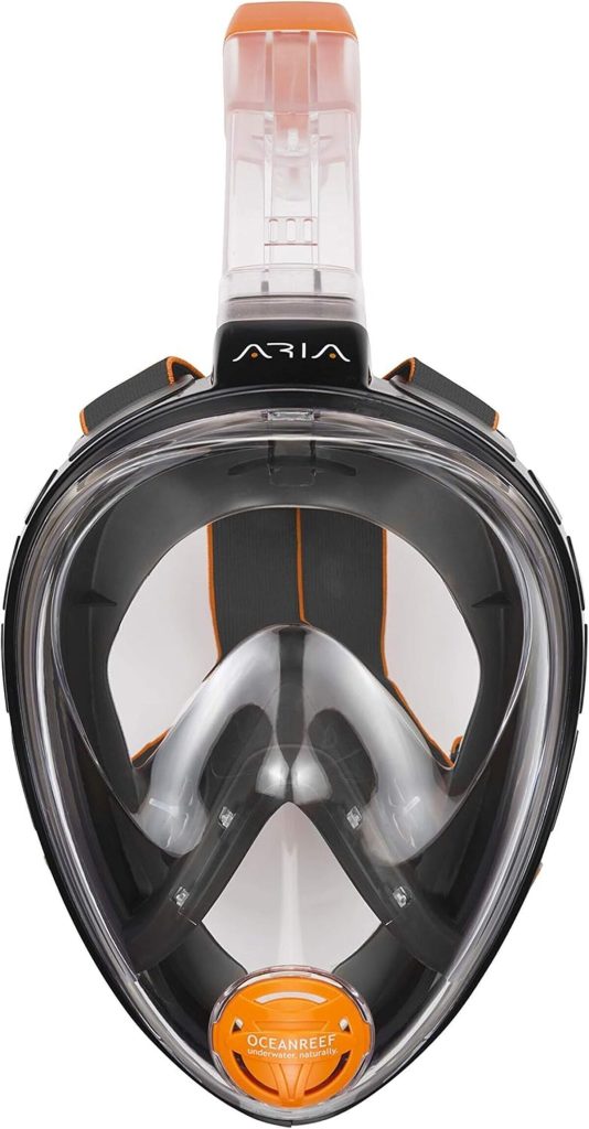 Test du masque snorkeling Ocean Reef Aria Classic L-XL noir