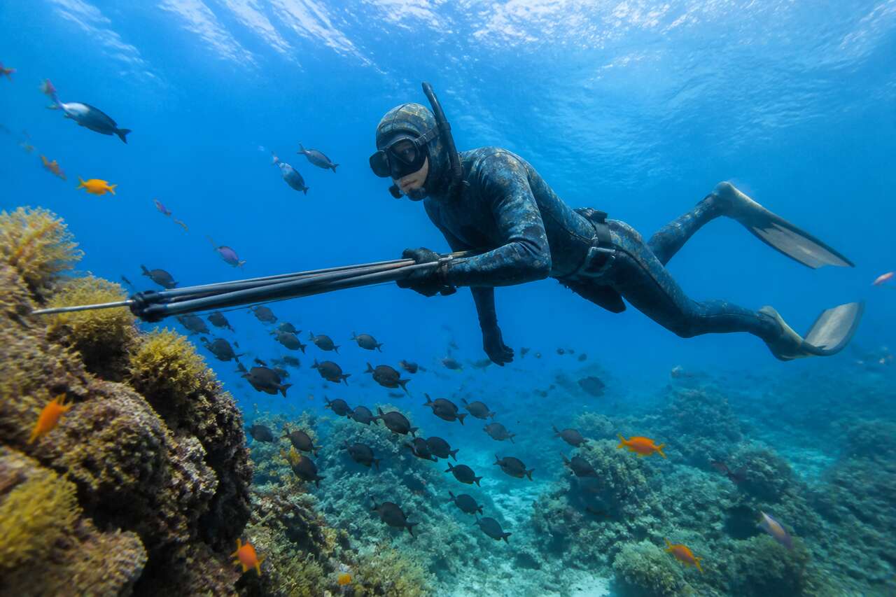 Ʃquipement essentiel pour la chasse sous-marine Ʃquipement essentiel pour la chasse sous-marine