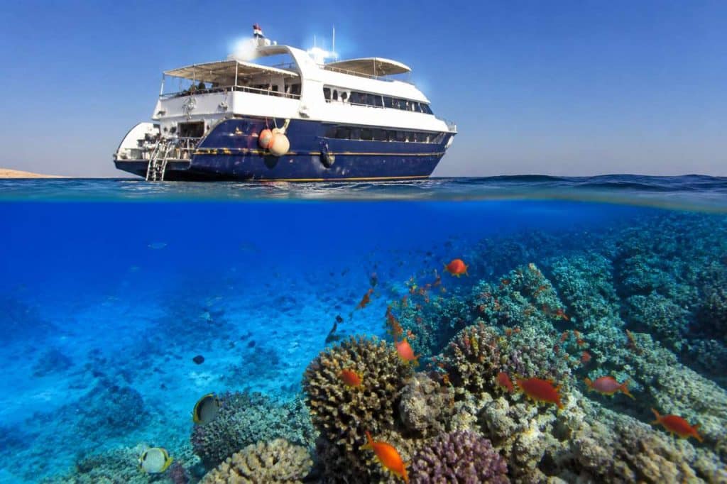 À quoi s'attendre lors d'une croisière plongée ?