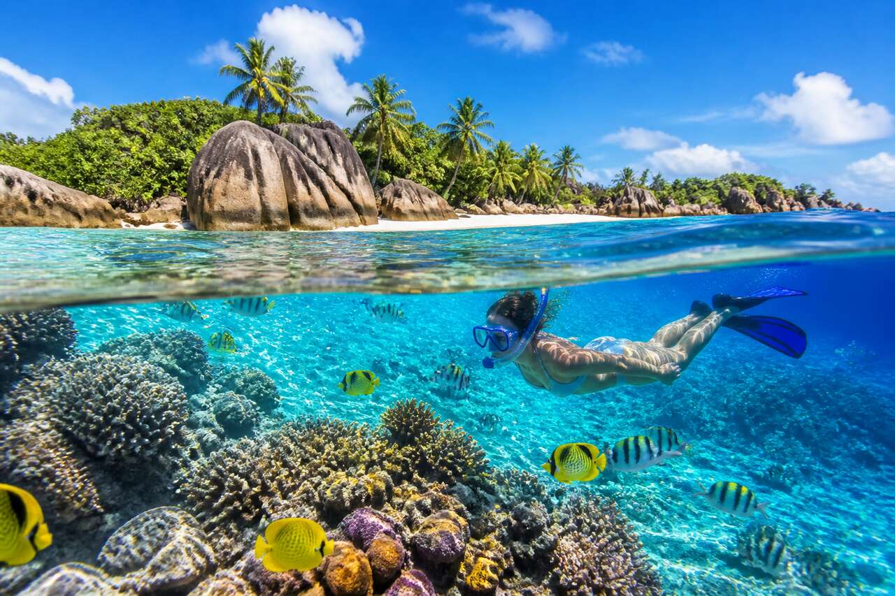 Top 5 des destinations de snorkeling à découvrir