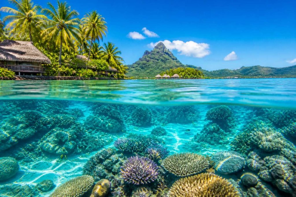 Découverte des meilleures plongées à Tahiti : une belle surprise dans le lagon