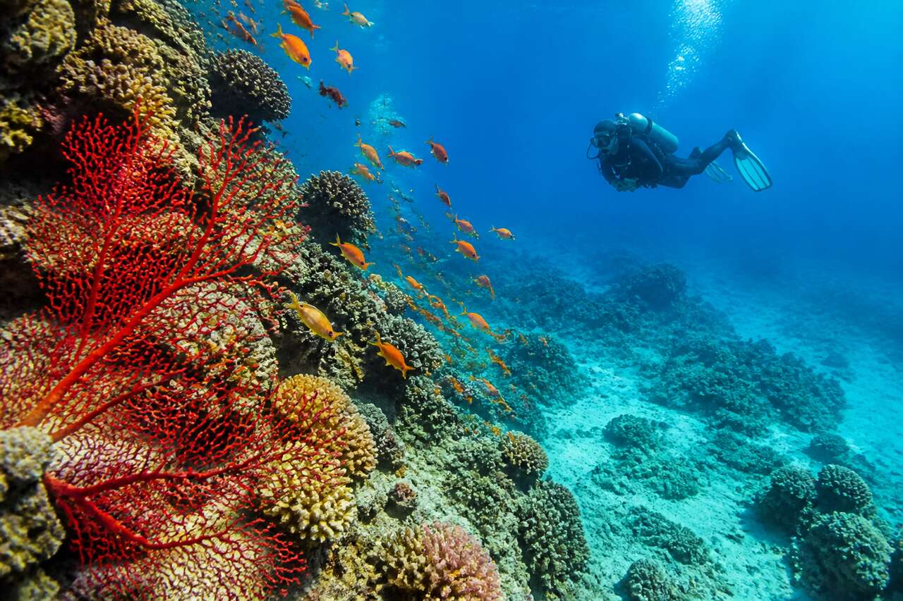 Les 8 meilleures destinations de plongée en Europe